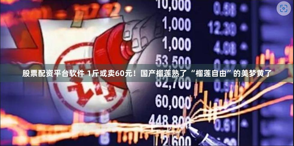 股票配资平台软件 1斤或卖60元！国产榴莲熟了 “榴莲自由”的美梦黄了