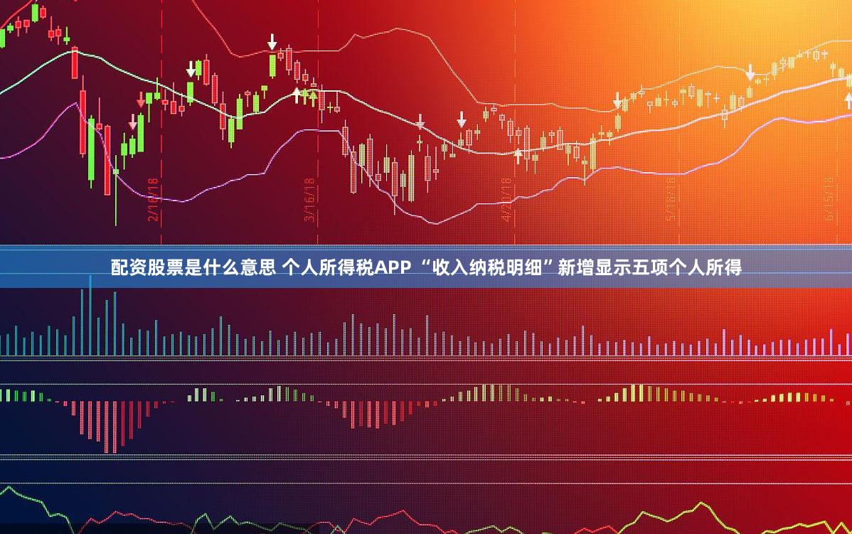 配资股票是什么意思 个人所得税APP “收入纳税明细”新增显示五项个人所得