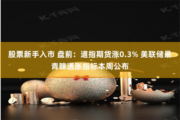 股票新手入市 盘前：道指期货涨0.3% 美联储最青睐通胀指标本周公布