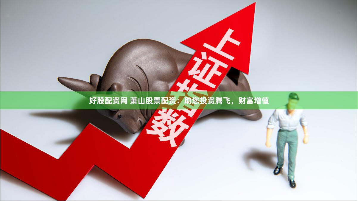 好股配资网 萧山股票配资：助您投资腾飞，财富增值